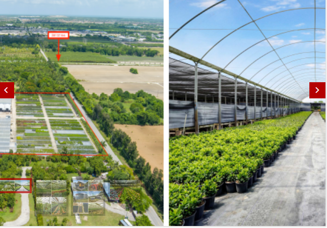 Commercial/Sale/South Florida Nursery